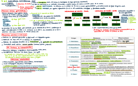 Tema-3.pdf