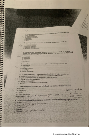 examenes-anatomia-copia.pdf