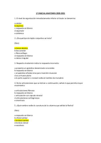 anatomia-examen-1.pdf