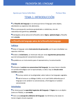 Esquema-resumen-lenguaje-Nino.pdf