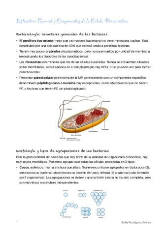 3-Estructura-General-y-Componentes-de-la-Celula-Procariotica.pdf