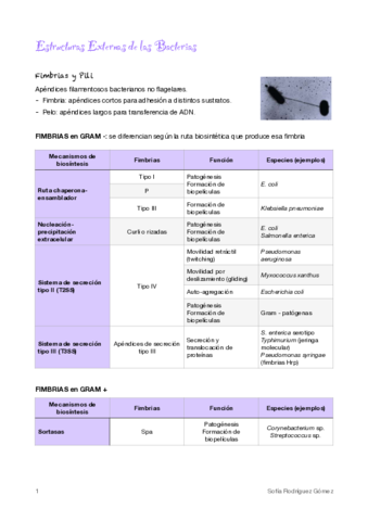 5-Estructuras-Externas-de-las-Bacterias.pdf