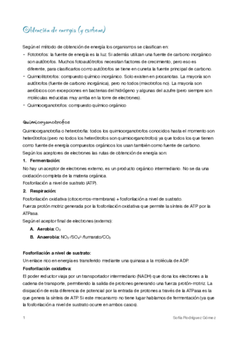 11-Obtencion-de-energia.pdf