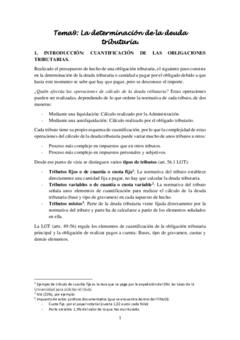 Tema-9-Derecho-Financiero-I1.pdf
