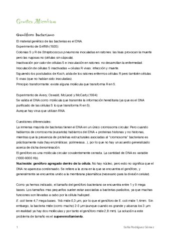 17-Genetica-Microbiana.pdf