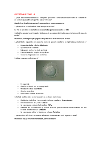Cuestionario-temas-1-6.pdf