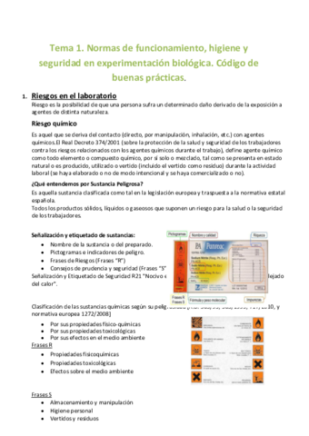 apuntes-feeb-todo-el-curso.pdf