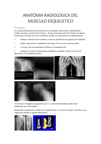 MUSCULOESQUELETICO.pdf