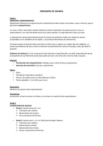 PREGUNTAS-DE-EXAMEN.pdf