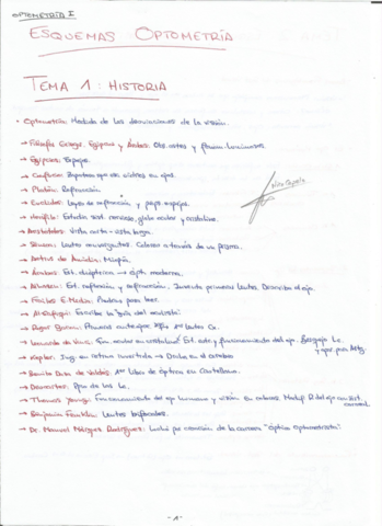 TEMAS REDACTADOS.pdf