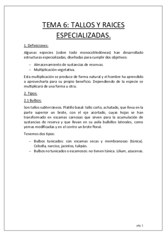 2o-parcial-temas.pdf