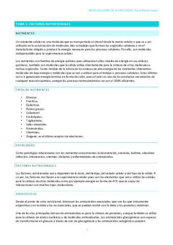 TEMA-2.pdf