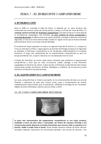 TEMA-7-el-horizonte-campaniforme.pdf