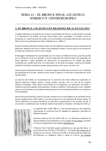 TEMA-11---EL-BRONCE-FINAL-ATLANTICO.pdf