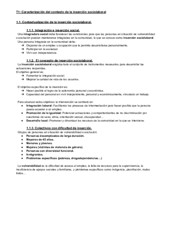 T1-Caracterizacion-del-contexto-de-la-insercion-sociolaboral.pdf