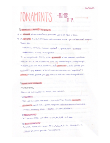 Tema-0-Fonaments.pdf