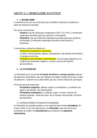 Anabolisme-autotrof.pdf