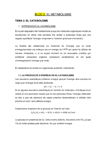 Catabolisme.pdf