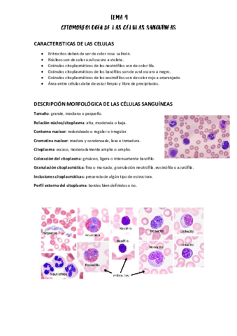 TEMA-4.pdf