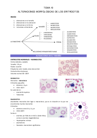 TEMA-10.pdf