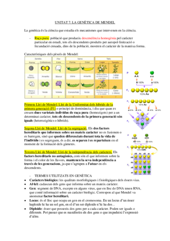 Genetica-mendel.pdf