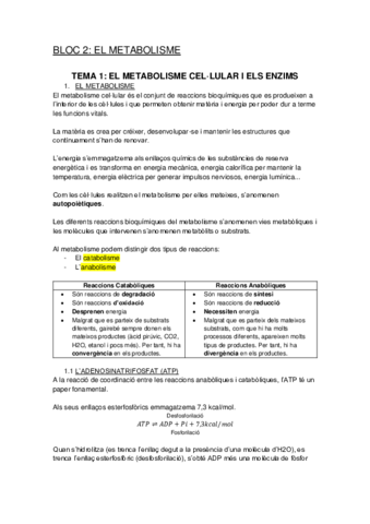 Metabolisme-i-enzims.pdf