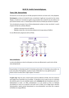 Segon parcial tot.pdf