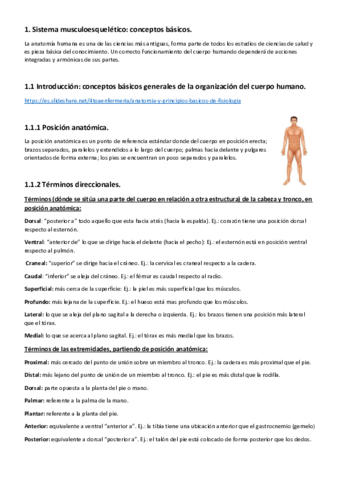 Sistema-musculoesqueletico-conceptos-basicos.pdf
