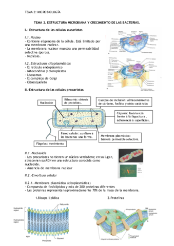 TEMA-2-apuntes-microbiologia.pdf