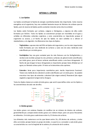 TEMA-5-NUTRICION-Y-DEPORTE.pdf