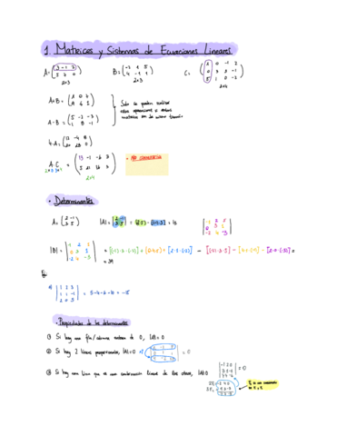 Matrices-y-Sistemas-de-Ecuaciones-Lineares.pdf