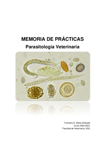 Memoria-6.pdf
