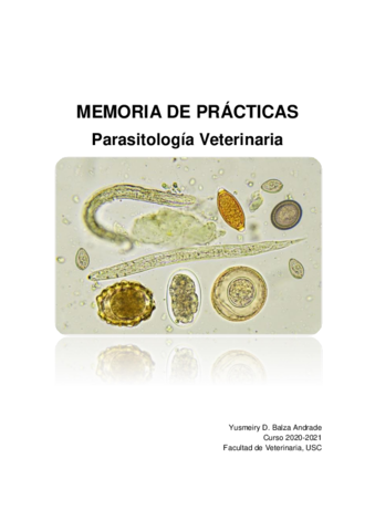 Memoria-5.pdf