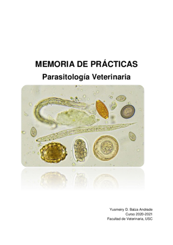 Memoria-2.pdf