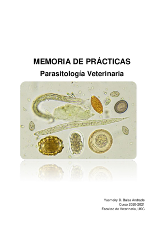 Memoria-1.pdf