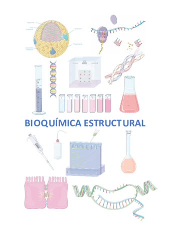 Apuntes-Bioquimica-Estructural.pdf