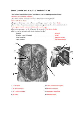 Solucion-1o-parcial-Mayo.pdf