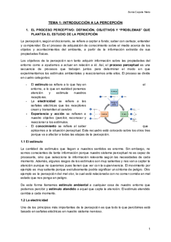 TEMA-1-INTRODUCCION-A-LA-PERCEPCION-Documentos-de-Google.pdf