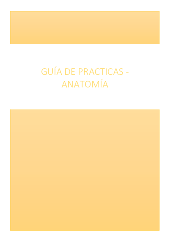 Guia-de-practicas.pdf