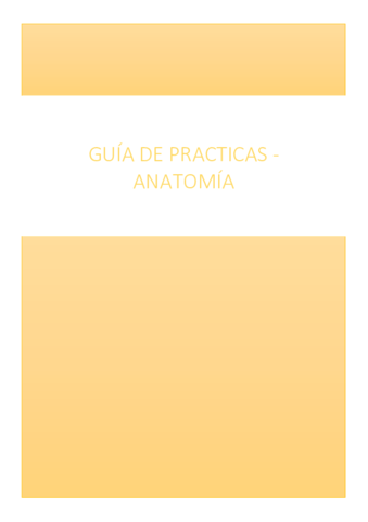Guia-de-practicas.pdf