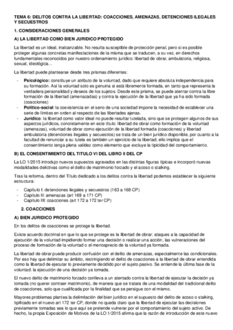 TEMA-6.pdf