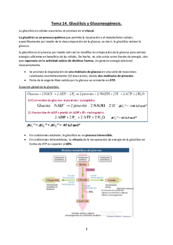 Tema-14.pdf