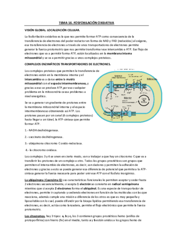 Tema-16.pdf