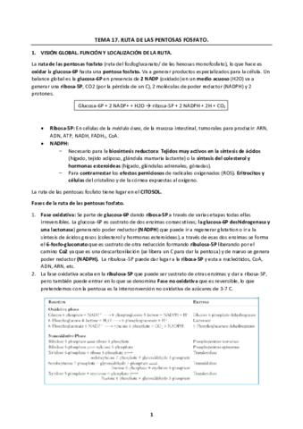 Tema-17.pdf