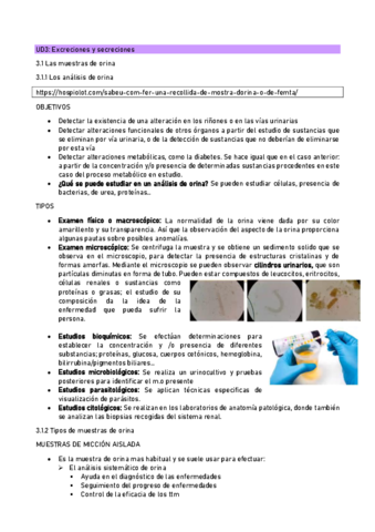 UD3-Excreciones-y-secreciones.pdf