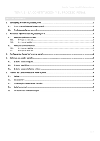 TEMA-1.pdf