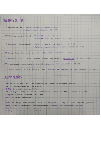 Documento-sin-titulo.pdf