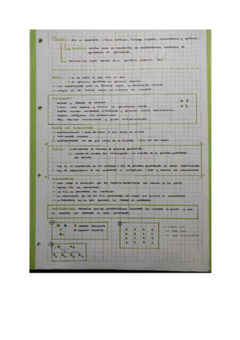 Documento-sin-titulo-1.pdf