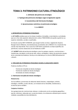 TEMA 3 - Patrimonio Cultural Etnológico (PCE).pdf