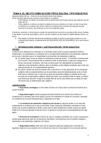 TEMA-6-derecho-penal-I.pdf